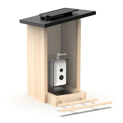 Birdfy Feeder Ebony