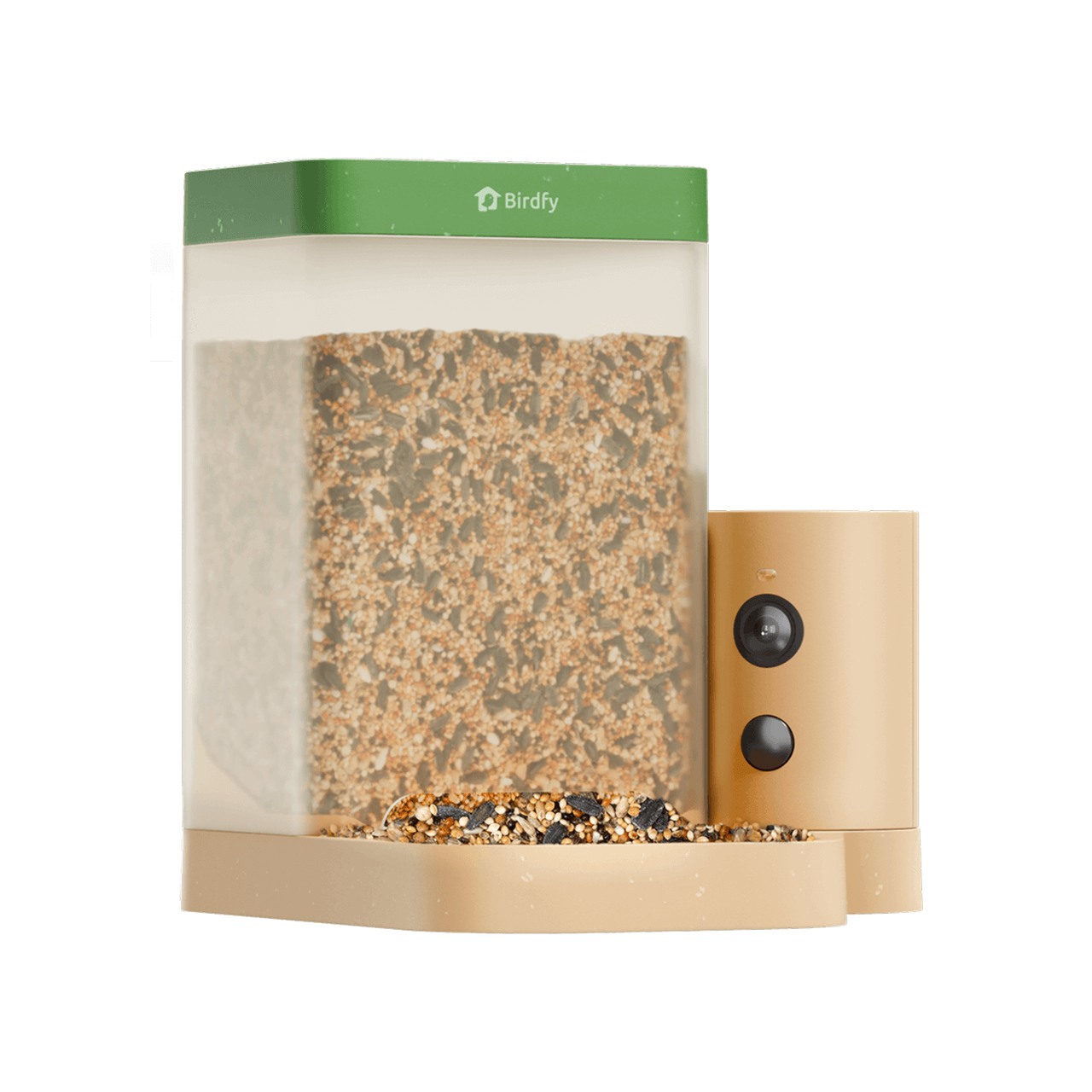 Birdfy Feeder Rookie